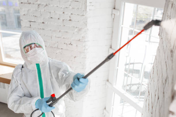 Best Commercial Mold Remediation in Kechi, KS